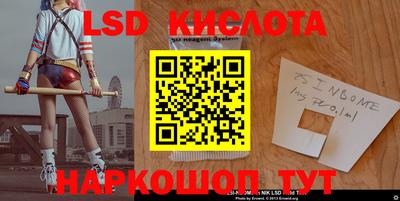 гидра Славгород
