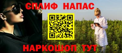 гидра Славгород