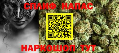 гидра Славгород